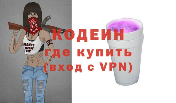 хмурый Арсеньев