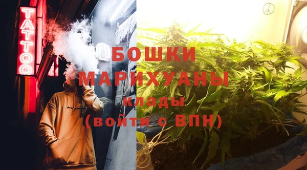 хмурый Арсеньев