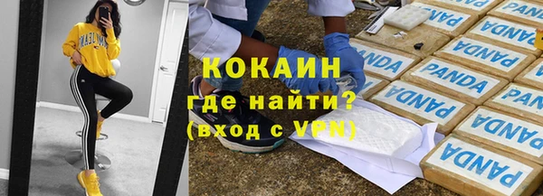 хмурый Арсеньев