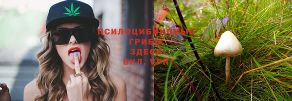 молекула духа Армянск